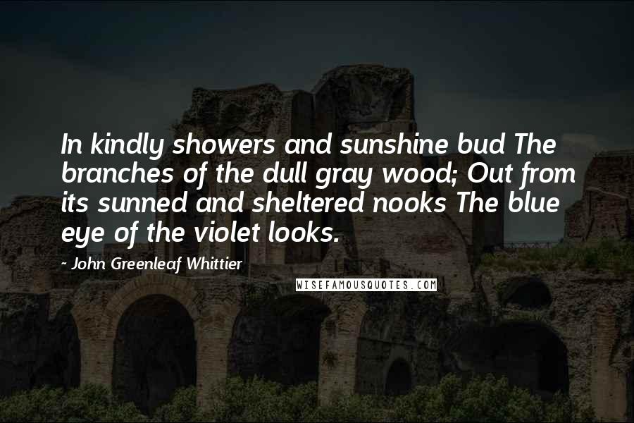 John Greenleaf Whittier Quotes: In kindly showers and sunshine bud The branches of the dull gray wood; Out from its sunned and sheltered nooks The blue eye of the violet looks.