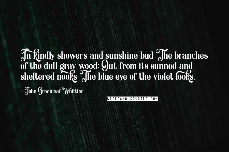 John Greenleaf Whittier Quotes: In kindly showers and sunshine bud The branches of the dull gray wood; Out from its sunned and sheltered nooks The blue eye of the violet looks.