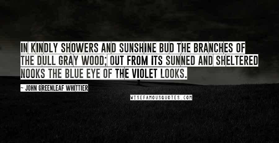 John Greenleaf Whittier Quotes: In kindly showers and sunshine bud The branches of the dull gray wood; Out from its sunned and sheltered nooks The blue eye of the violet looks.