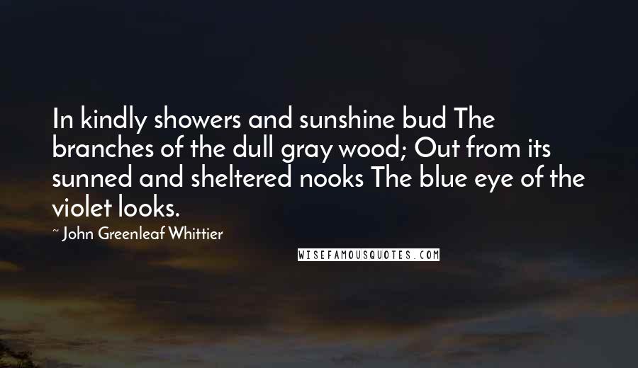 John Greenleaf Whittier Quotes: In kindly showers and sunshine bud The branches of the dull gray wood; Out from its sunned and sheltered nooks The blue eye of the violet looks.