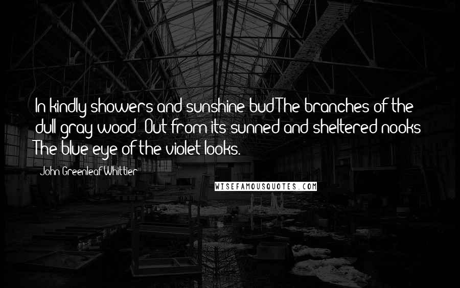 John Greenleaf Whittier Quotes: In kindly showers and sunshine bud The branches of the dull gray wood; Out from its sunned and sheltered nooks The blue eye of the violet looks.