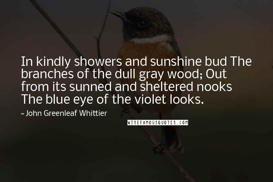 John Greenleaf Whittier Quotes: In kindly showers and sunshine bud The branches of the dull gray wood; Out from its sunned and sheltered nooks The blue eye of the violet looks.