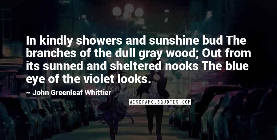 John Greenleaf Whittier Quotes: In kindly showers and sunshine bud The branches of the dull gray wood; Out from its sunned and sheltered nooks The blue eye of the violet looks.