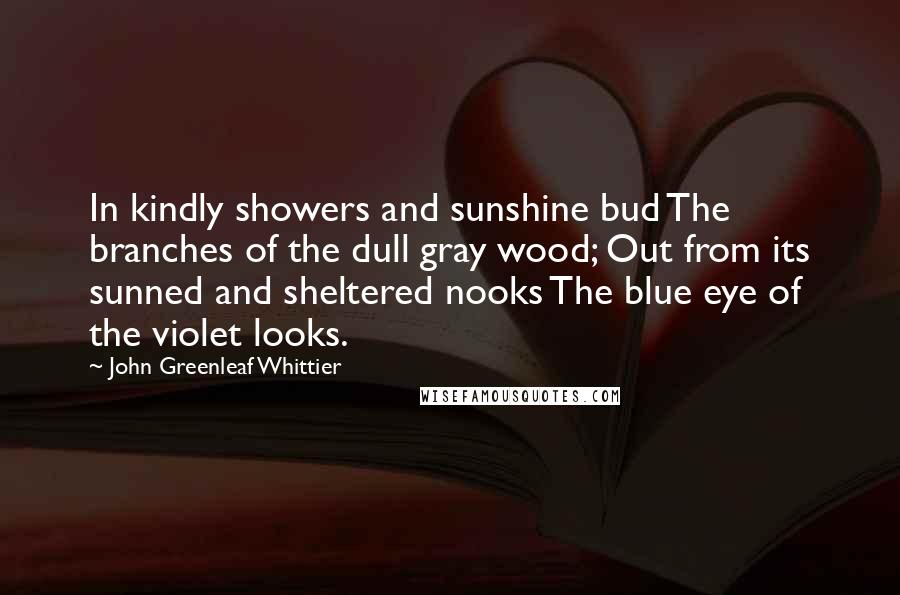 John Greenleaf Whittier Quotes: In kindly showers and sunshine bud The branches of the dull gray wood; Out from its sunned and sheltered nooks The blue eye of the violet looks.