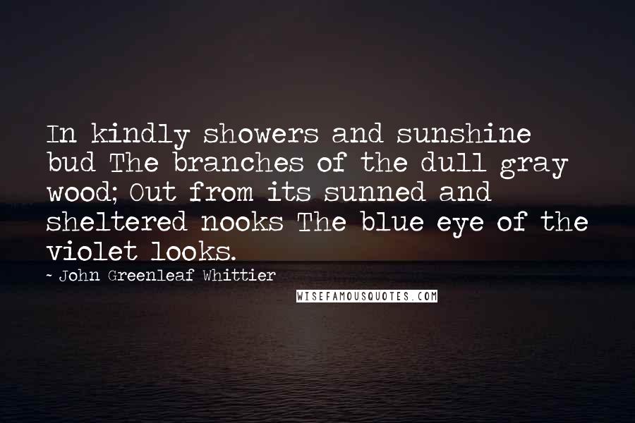 John Greenleaf Whittier Quotes: In kindly showers and sunshine bud The branches of the dull gray wood; Out from its sunned and sheltered nooks The blue eye of the violet looks.