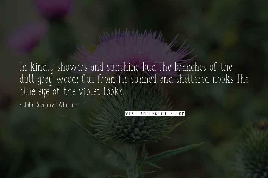 John Greenleaf Whittier Quotes: In kindly showers and sunshine bud The branches of the dull gray wood; Out from its sunned and sheltered nooks The blue eye of the violet looks.