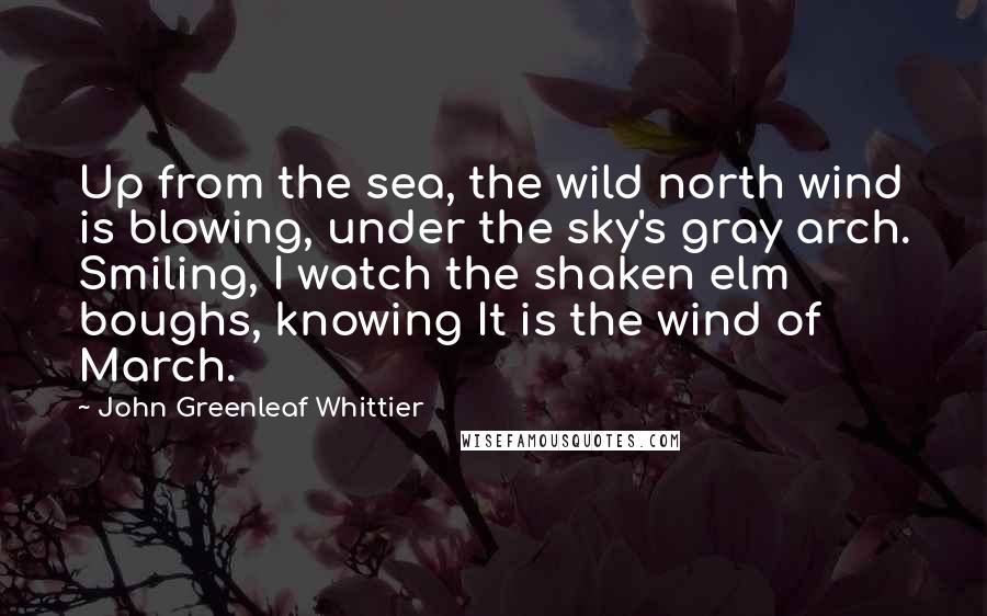 John Greenleaf Whittier Quotes: Up from the sea, the wild north wind is blowing, under the sky's gray arch. Smiling, I watch the shaken elm boughs, knowing It is the wind of March.