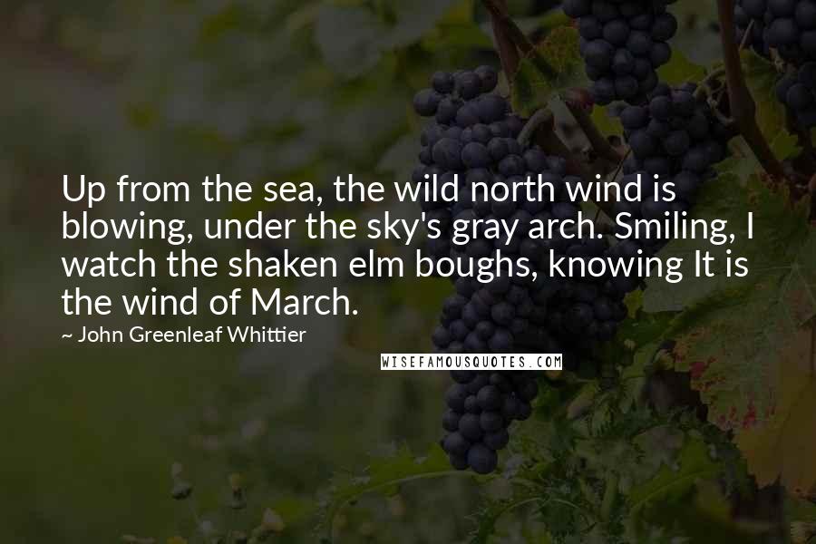 John Greenleaf Whittier Quotes: Up from the sea, the wild north wind is blowing, under the sky's gray arch. Smiling, I watch the shaken elm boughs, knowing It is the wind of March.