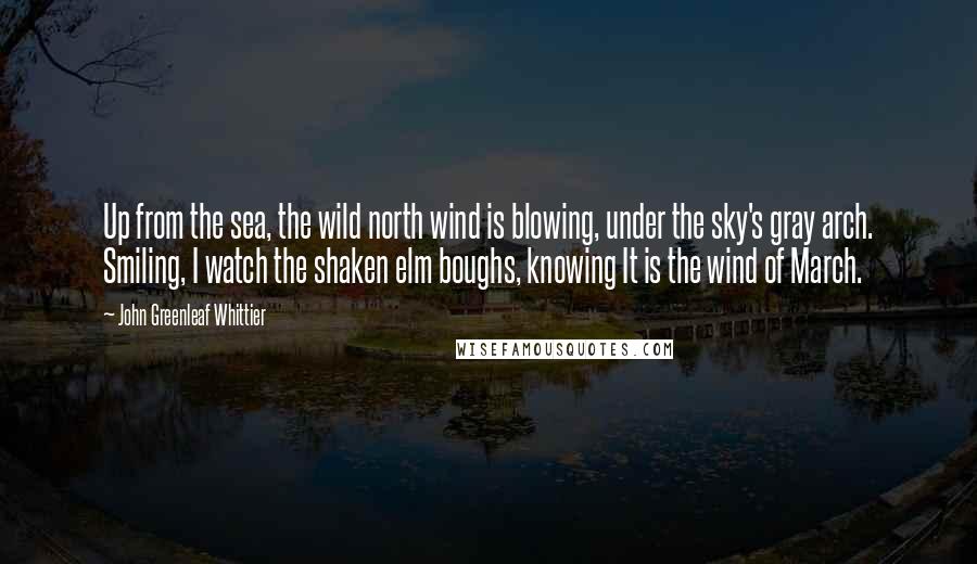 John Greenleaf Whittier Quotes: Up from the sea, the wild north wind is blowing, under the sky's gray arch. Smiling, I watch the shaken elm boughs, knowing It is the wind of March.