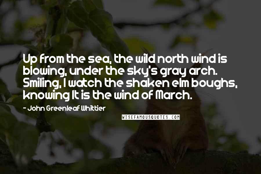 John Greenleaf Whittier Quotes: Up from the sea, the wild north wind is blowing, under the sky's gray arch. Smiling, I watch the shaken elm boughs, knowing It is the wind of March.