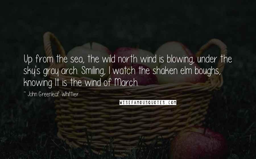 John Greenleaf Whittier Quotes: Up from the sea, the wild north wind is blowing, under the sky's gray arch. Smiling, I watch the shaken elm boughs, knowing It is the wind of March.