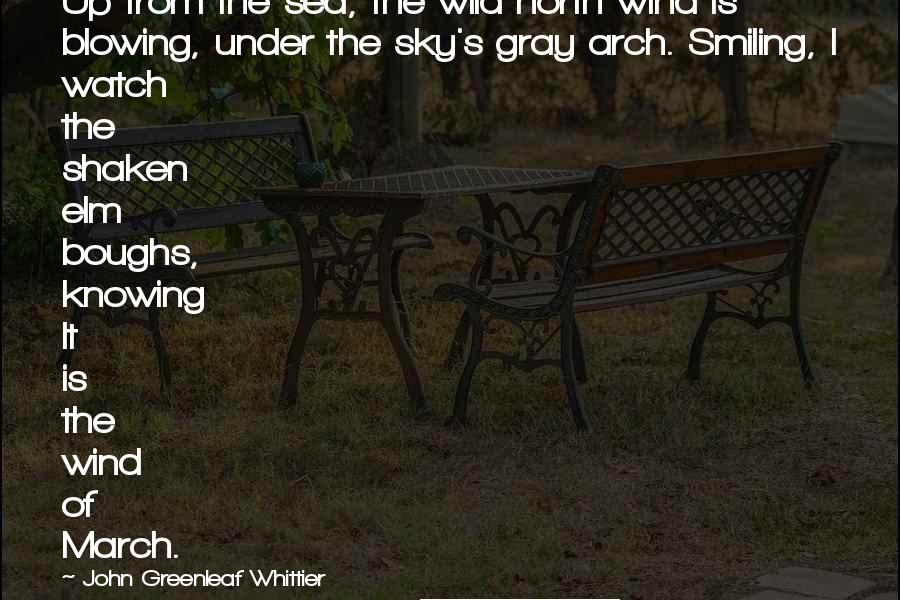 John Greenleaf Whittier Quotes: Up from the sea, the wild north wind is blowing, under the sky's gray arch. Smiling, I watch the shaken elm boughs, knowing It is the wind of March.