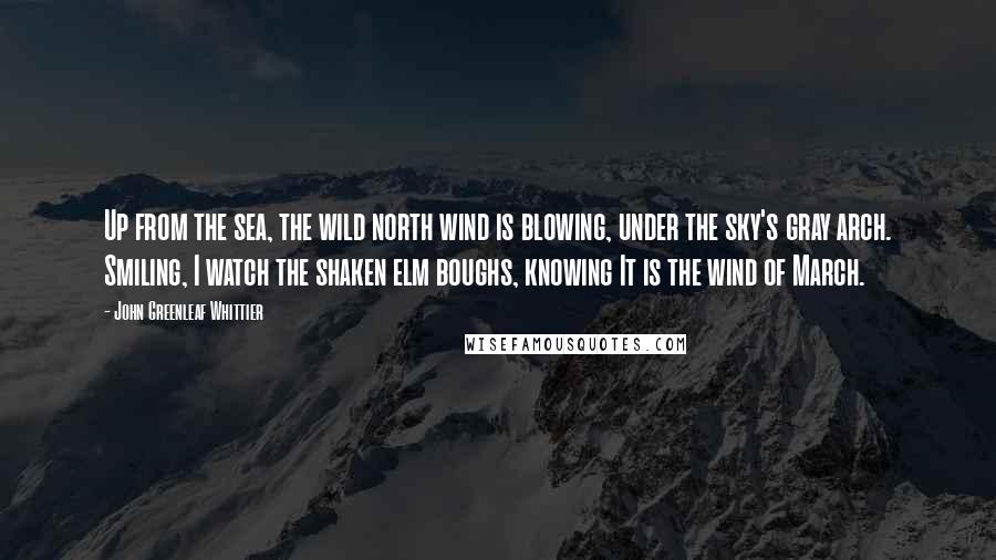 John Greenleaf Whittier Quotes: Up from the sea, the wild north wind is blowing, under the sky's gray arch. Smiling, I watch the shaken elm boughs, knowing It is the wind of March.