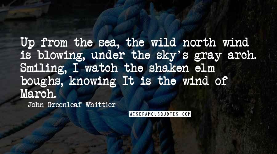 John Greenleaf Whittier Quotes: Up from the sea, the wild north wind is blowing, under the sky's gray arch. Smiling, I watch the shaken elm boughs, knowing It is the wind of March.