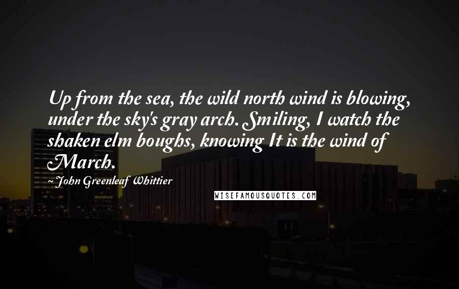 John Greenleaf Whittier Quotes: Up from the sea, the wild north wind is blowing, under the sky's gray arch. Smiling, I watch the shaken elm boughs, knowing It is the wind of March.