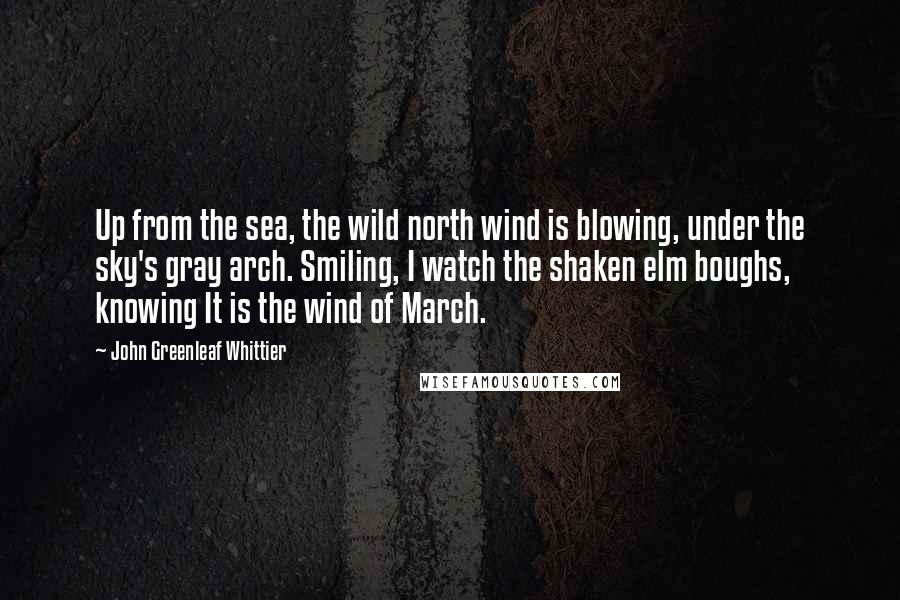 John Greenleaf Whittier Quotes: Up from the sea, the wild north wind is blowing, under the sky's gray arch. Smiling, I watch the shaken elm boughs, knowing It is the wind of March.