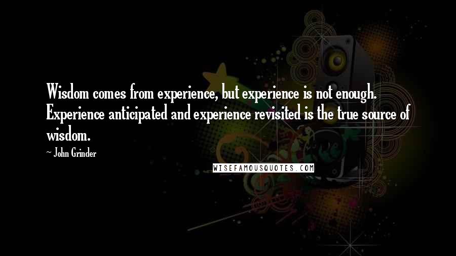 John Grinder Quotes: Wisdom comes from experience, but experience is not enough. Experience anticipated and experience revisited is the true source of wisdom.