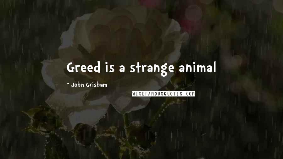 John Grisham Quotes: Greed is a strange animal