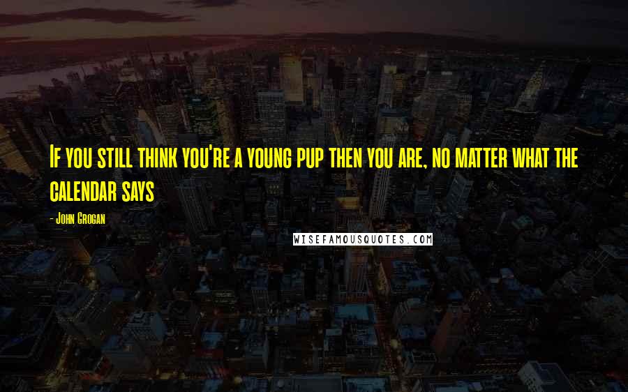John Grogan Quotes: If you still think you're a young pup then you are, no matter what the calendar says