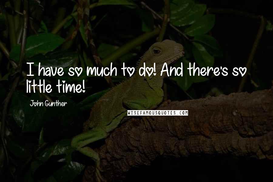 John Gunther Quotes: I have so much to do! And there's so little time!