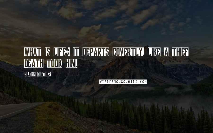John Gunther Quotes: What is life? It departs covertly. Like a thief Death took him.