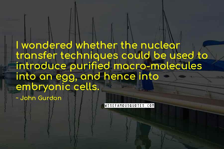 John Gurdon Quotes: I wondered whether the nuclear transfer techniques could be used to introduce purified macro-molecules into an egg, and hence into embryonic cells.