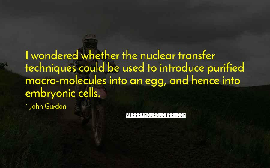 John Gurdon Quotes: I wondered whether the nuclear transfer techniques could be used to introduce purified macro-molecules into an egg, and hence into embryonic cells.