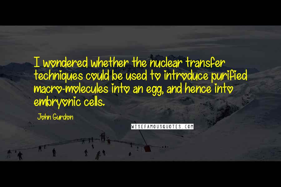 John Gurdon Quotes: I wondered whether the nuclear transfer techniques could be used to introduce purified macro-molecules into an egg, and hence into embryonic cells.