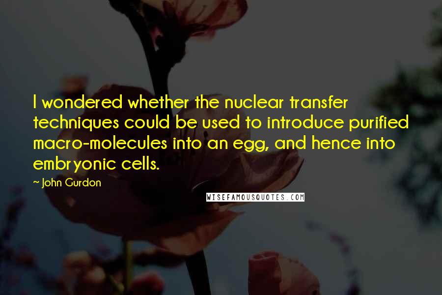 John Gurdon Quotes: I wondered whether the nuclear transfer techniques could be used to introduce purified macro-molecules into an egg, and hence into embryonic cells.