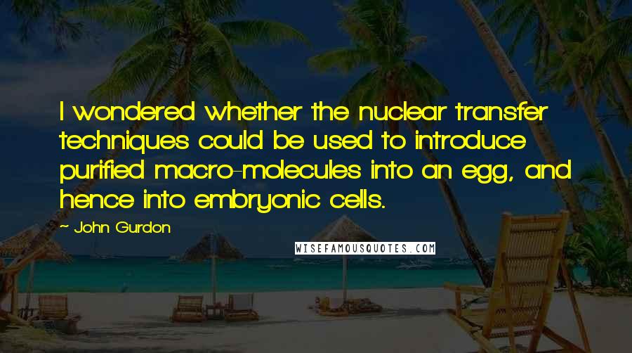 John Gurdon Quotes: I wondered whether the nuclear transfer techniques could be used to introduce purified macro-molecules into an egg, and hence into embryonic cells.