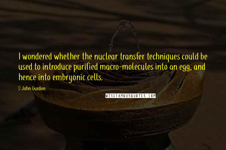 John Gurdon Quotes: I wondered whether the nuclear transfer techniques could be used to introduce purified macro-molecules into an egg, and hence into embryonic cells.
