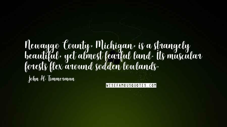 John H. Timmerman Quotes: Newaygo County, Michigan, is a strangely beautiful, yet almost fearful land. Its muscular forests flex around sodden lowlands.