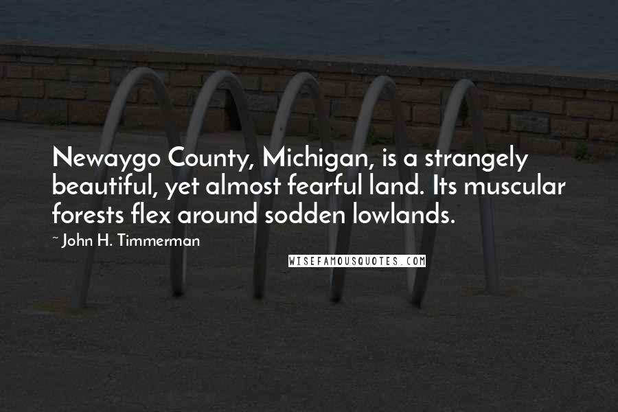 John H. Timmerman Quotes: Newaygo County, Michigan, is a strangely beautiful, yet almost fearful land. Its muscular forests flex around sodden lowlands.