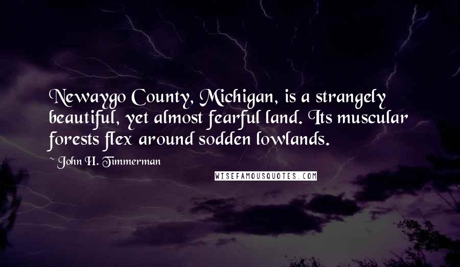 John H. Timmerman Quotes: Newaygo County, Michigan, is a strangely beautiful, yet almost fearful land. Its muscular forests flex around sodden lowlands.