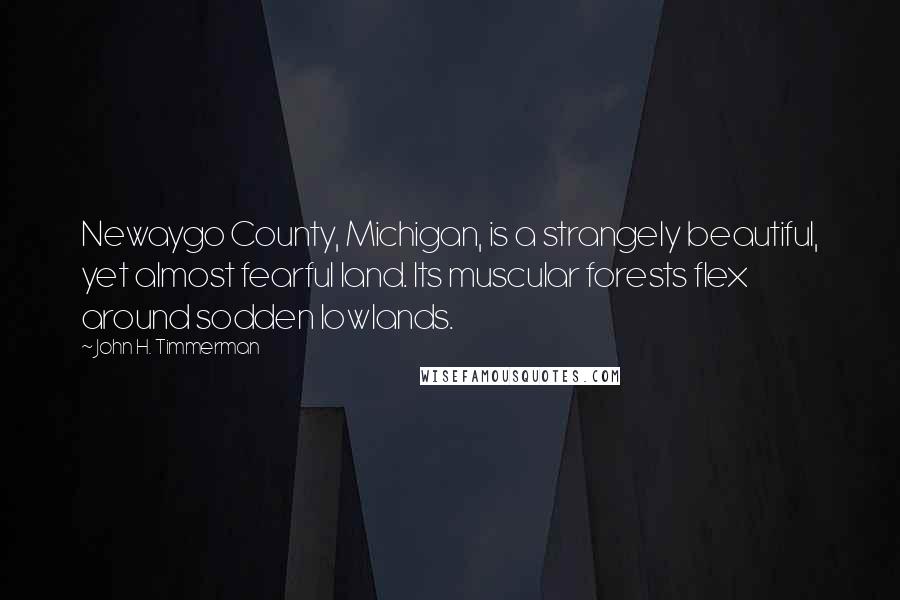 John H. Timmerman Quotes: Newaygo County, Michigan, is a strangely beautiful, yet almost fearful land. Its muscular forests flex around sodden lowlands.