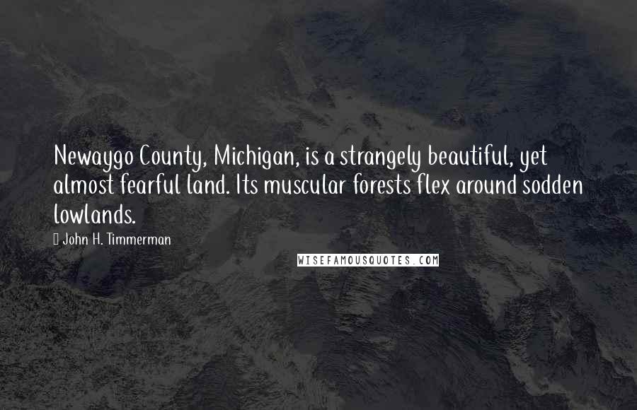 John H. Timmerman Quotes: Newaygo County, Michigan, is a strangely beautiful, yet almost fearful land. Its muscular forests flex around sodden lowlands.