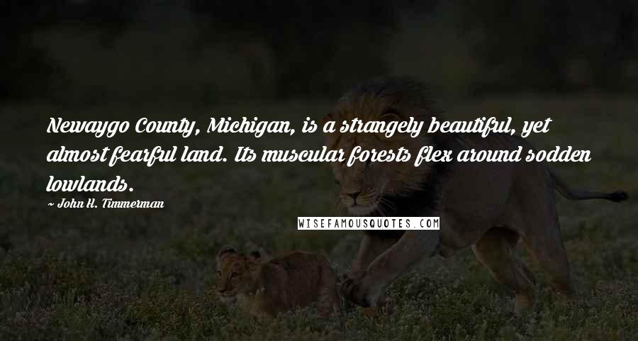 John H. Timmerman Quotes: Newaygo County, Michigan, is a strangely beautiful, yet almost fearful land. Its muscular forests flex around sodden lowlands.