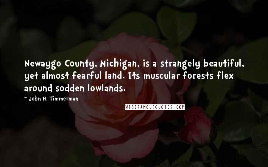 John H. Timmerman Quotes: Newaygo County, Michigan, is a strangely beautiful, yet almost fearful land. Its muscular forests flex around sodden lowlands.