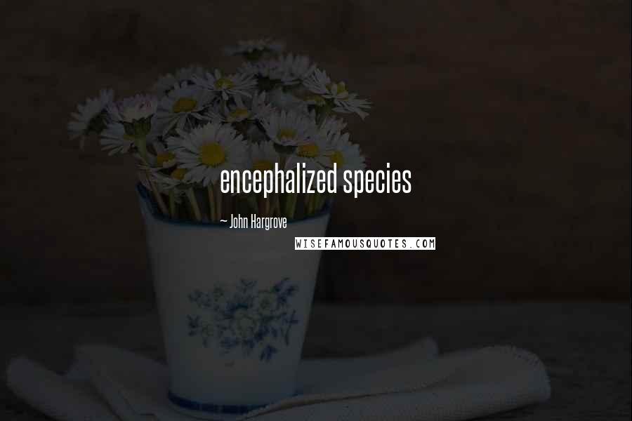 John Hargrove Quotes: encephalized species