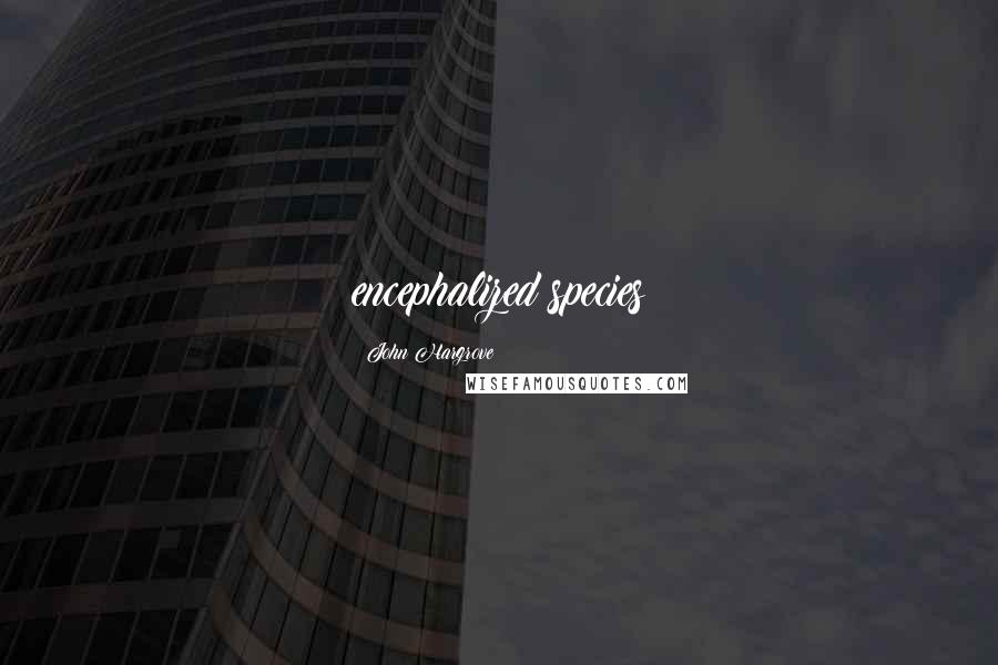 John Hargrove Quotes: encephalized species