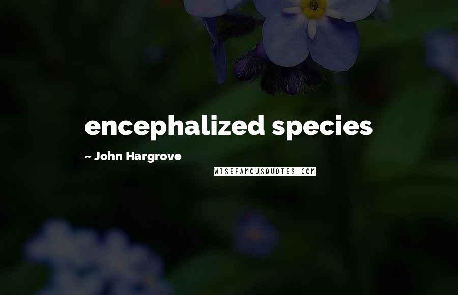 John Hargrove Quotes: encephalized species