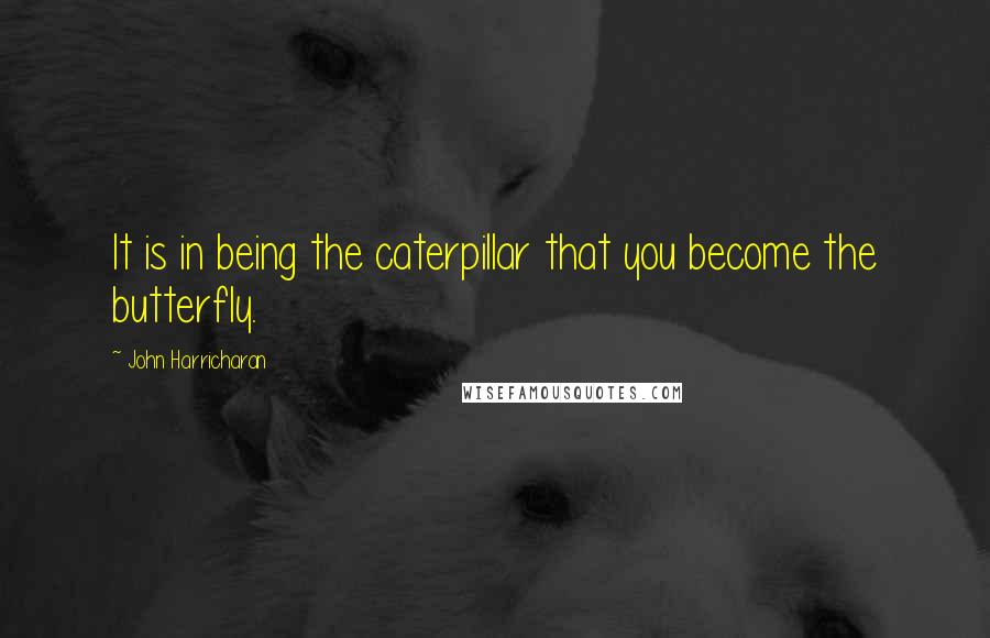 John Harricharan Quotes: It is in being the caterpillar that you become the butterfly.