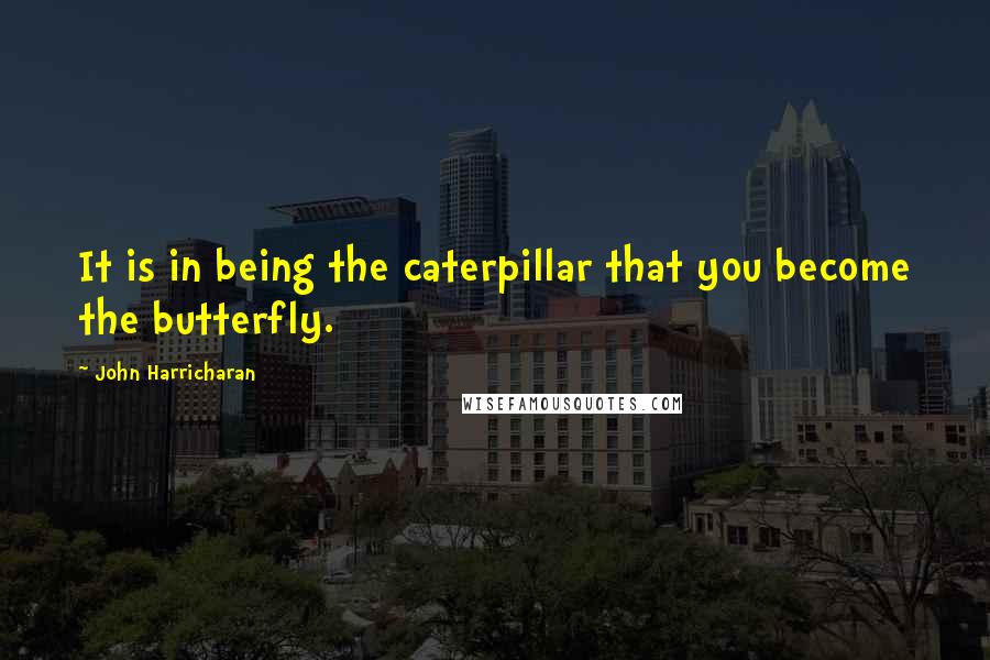 John Harricharan Quotes: It is in being the caterpillar that you become the butterfly.