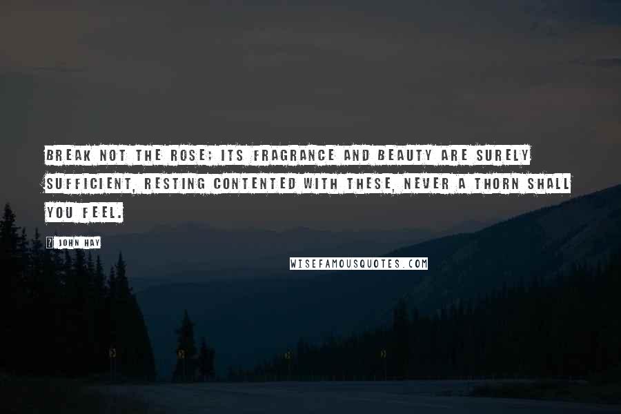 John Hay Quotes: Break not the rose; its fragrance and beauty are surely sufficient, resting contented with these, never a thorn shall you feel.