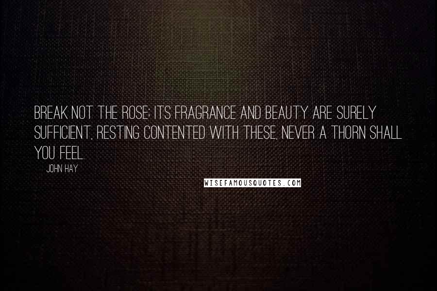 John Hay Quotes: Break not the rose; its fragrance and beauty are surely sufficient, resting contented with these, never a thorn shall you feel.