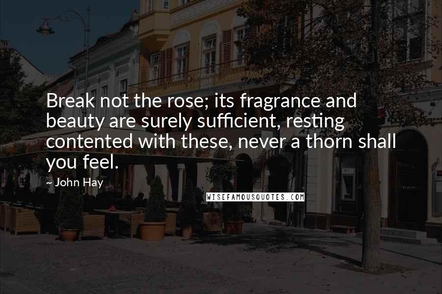 John Hay Quotes: Break not the rose; its fragrance and beauty are surely sufficient, resting contented with these, never a thorn shall you feel.