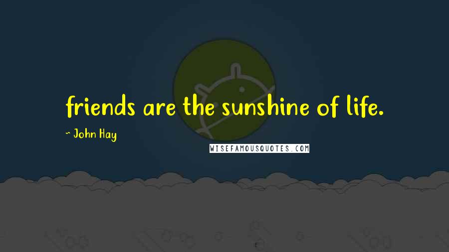 John Hay Quotes: friends are the sunshine of life.