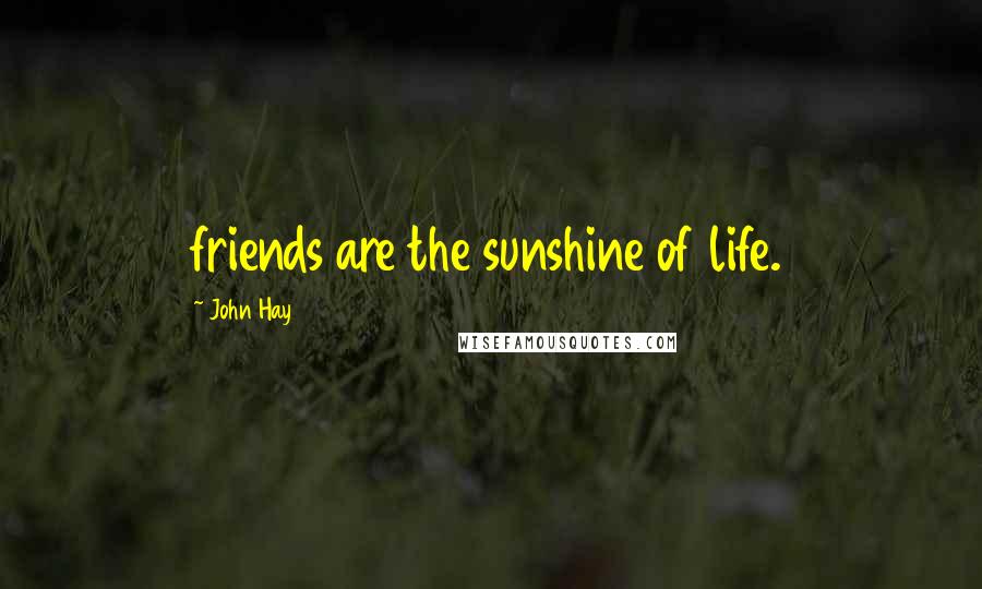 John Hay Quotes: friends are the sunshine of life.