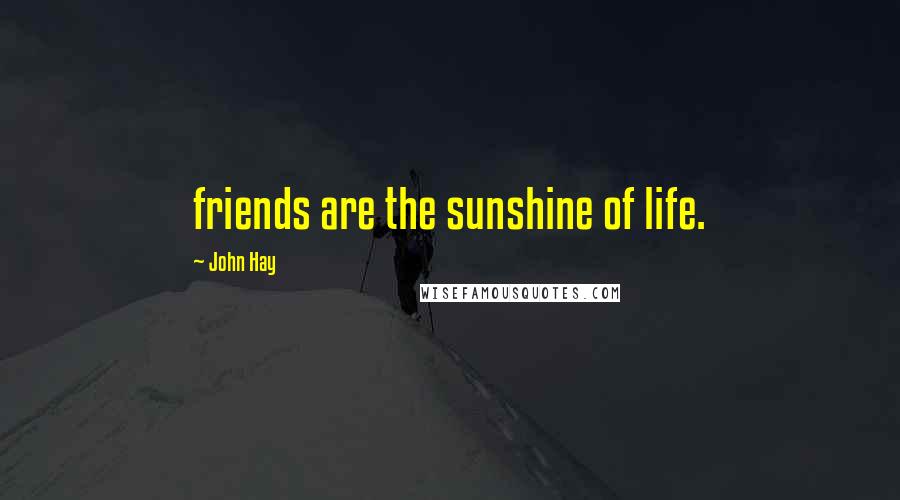 John Hay Quotes: friends are the sunshine of life.