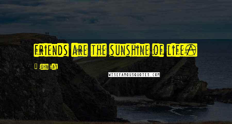 John Hay Quotes: friends are the sunshine of life.